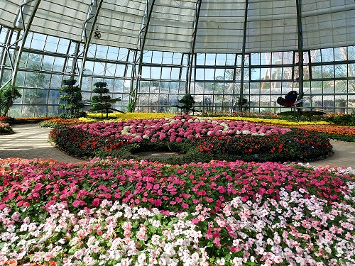 Flovers in a dome